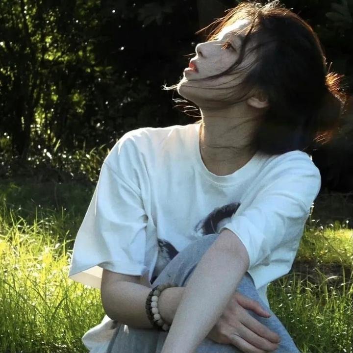 九域之天眼崛起